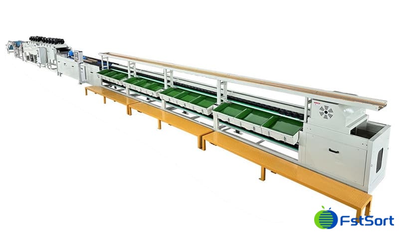 images/1705995985969línea de encerado de aguacate de una sola línea.jpg